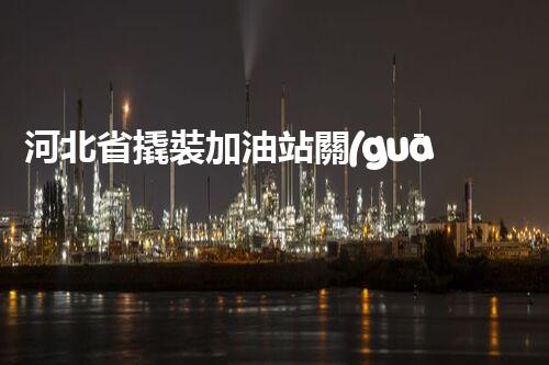 河北省撬裝加油站關(guān)鍵技術(shù)突破！化工廠拆除工程的新方法探索？